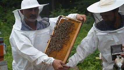 Balın kilogram maliyeti belli oldu 