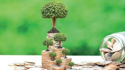 Türkiye'deki bankaların "iklim karnesi" açıklandı