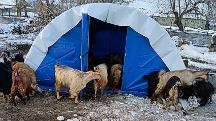Deprem bölgesinde hayvan yetiştiricilerine yem desteği