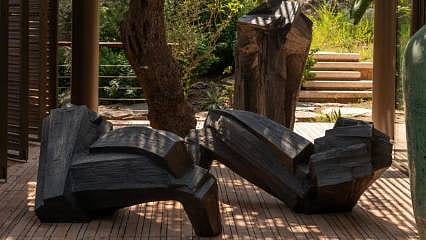 Galeri Bosfor “Doğanın Yankıları” ile Mesa Bodrum’da