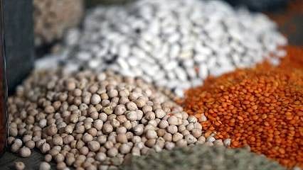Hububat ve bakliyat ihracatı 3,8 milyar dolara ulaştı