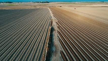 TARSİM'de hasar fazlası destek prim oranları belli oldu