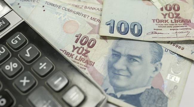 Vergi kaçaklığını ihbar eden 251 kişiye 12,4 milyon lira ödendi 