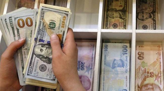 Merkez Bankası anketinde dolar ve enflasyon yıl sonu beklentisi yükseldi 