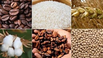 Emtia piyasasında ralli tersine döndü