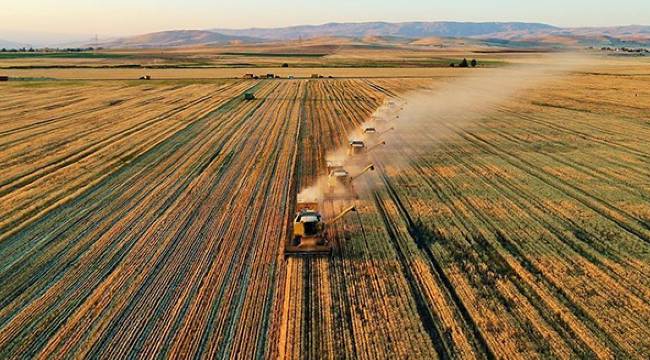 163,1 milyon liralık tarımsal destekleme ödemesi çitçilerin hesaplarına bugün yatırılacak