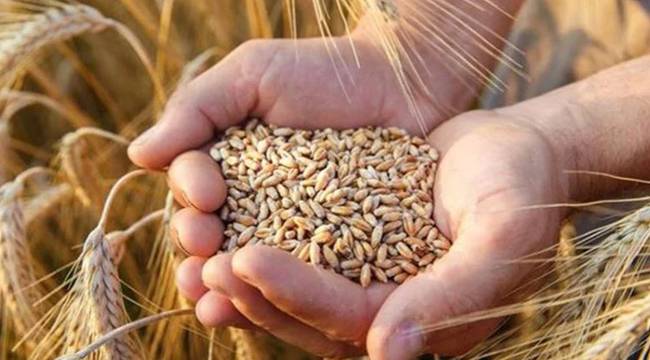 Tahıl ithalatıyla yüzde 398 büyüme yakaladı