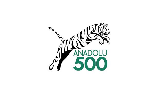 Sayılarla Anadolu 500